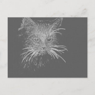 Cute Funky Cat Kitten Eyes face Sketch Briefkaart