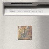 Cute Funky Ginger Cat Kitten Face Magneet (Insitu (Vaatwasser))