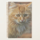 Cute Funky Ginger Cat Kitten Face Planner (Voorkant)