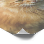 Cute Funky Ginger Cat Kitten Face Poster (Hoek)