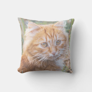 Cute Funky Ginger Cat Kitten Painting Kussen