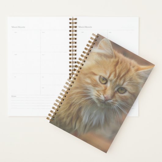 Cute Funky Ginger Chat Kitten Visage (Devant avec enveloppe)
