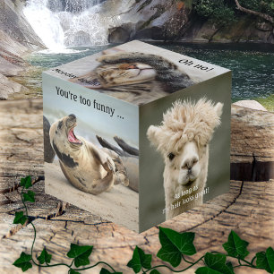Cute Funny Animal Foto Cube Kubus