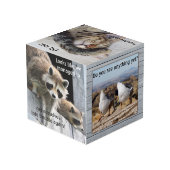 Cute Funny Animal Photo Cube (Angle arrière)