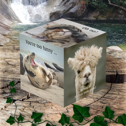 Cute Funny Animal Photo Cube