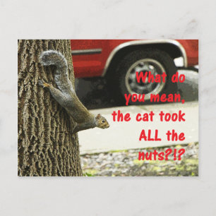 Cute Funny Animal Squirrel Joke Briefkaart