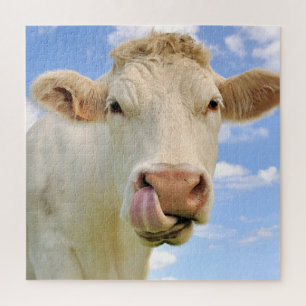 Cute Funny Boerderij Charolais Koe Licking Nose Legpuzzel
