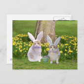Cute, Funny Bunny Cats Briefkaart (Voorkant / Achterkant)