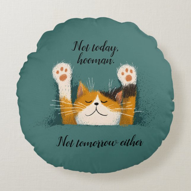 Cute Funny Cat Nap Rond Kussen (Voorkant)