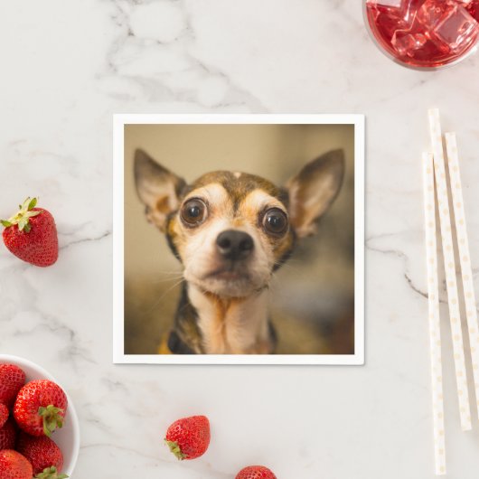 Cute & Funny Chihuahua Chig serviettes en papier (En situation)