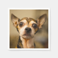 Cute & Funny Chihuahua Chig serviettes en papier