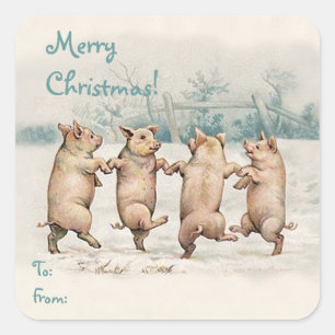 Cute Funny Dansende Pigs "Merry Kerstmis"-pakket Vierkante Sticker