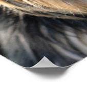 Cute & Funny Dog Close-up poster (Hoek)