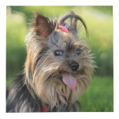 Cute & Funny Dogs (et / ou VOS photos) cube (Droite)