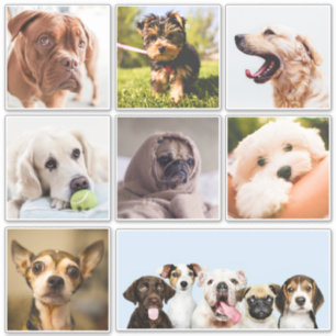 Cute & Funny Dogs (of UW foto's)-stickers Sticker