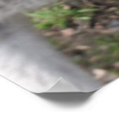 Cute Funny Face Kangaroo Educatieve Dierenfoto Poster (Hoek)