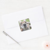 Cute Funny Face Kangaroo Educatieve Dierenfoto Vierkante Sticker (Envelop)
