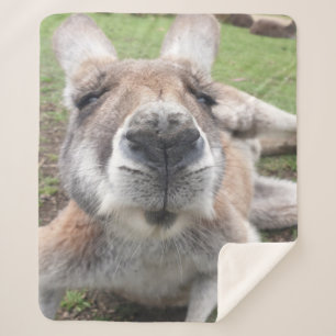Cute Funny Face Kangaroo Kawaii Animal Australia Sherpa Deken
