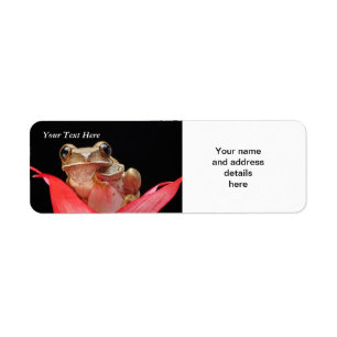 Cute, Funny Frog in Lily RAL Sjabloon Etiket