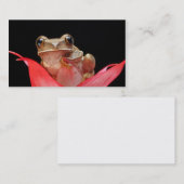 Cute, Funny Frog in Lily Visitekaartje (Voorkant / Achterkant)