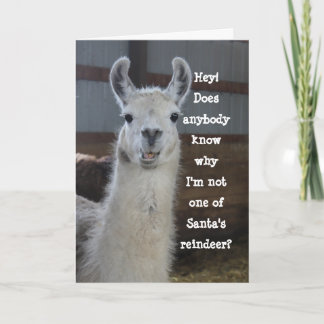 Cute Funny Humoureuze Llama Merry Kerstmis Kaart