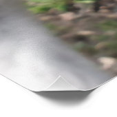 Cute Funny Kangaroo Educational Animal Wall Art Foto Afdruk (Hoek)