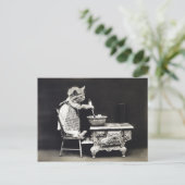 Cute  Funny Kitten Baking and Cooking Briefkaart (Staand voorkant)