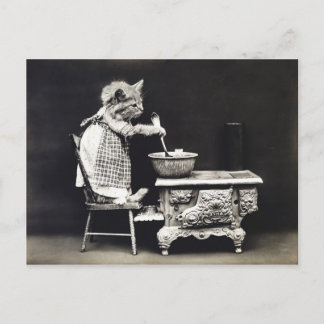 Cute Funny Kitten Baking and Cooking Briefkaart