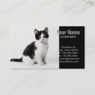 Cute Funny kitten black and white cat Visitekaartje