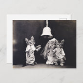Cute  Funny Kitten Couple Wedding Ceremony Briefkaart (Voorkant / Achterkant)
