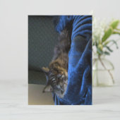 Cute Funny Maine Coon Cat Dreaming (Staand voorkant)