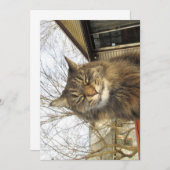 Cute Funny Maine Coon Kat zo blij (Voorkant / Achterkant)