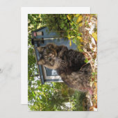 Cute Funny Maine Coon Kitty Cat (Voorkant / Achterkant)