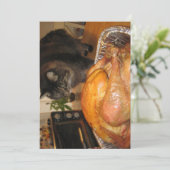 Cute Funny Maine Coon Kitty Cat Happy Thanksgiving (Staand voorkant)