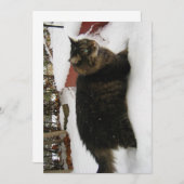 Cute Funny Maine Coon Kitty Cold Toes (Voorkant / Achterkant)