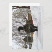 Cute Funny Maine Coon laat het sneeuwen (Voorkant / Achterkant)