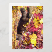 Cute Funny Maine Coon The Leaf Inspection (Voorkant / Achterkant)