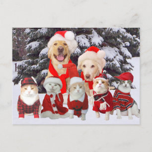 Cute/Funny Pet Business Holiday Client Post Card Feestdagenkaart