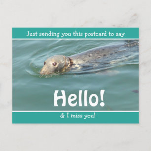 Cute Funny Seal Gewoon gezegde Hallo... Briefkaart