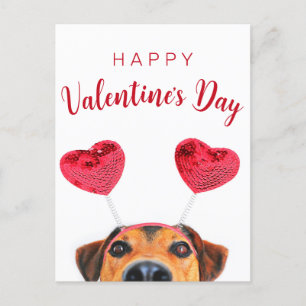 Cute Funny Valentijnsdag Dog Heart Feestdagenkaart