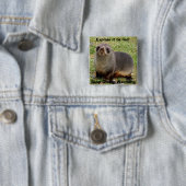 Cute Fur Seal Stop Global Warming Button (In situ)
