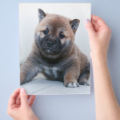 Cute Fuzzy Puppy Dog Flyer (Hand)