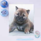 Cute Fuzzy Puppy Dog Flyer (Enkel)