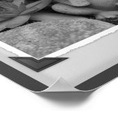 Cute Garden Frog Black and White Print (Hoek)