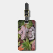 Cute Garden Frog Succulent Garden Personalized Bagagelabel (Voorkant verticaal)