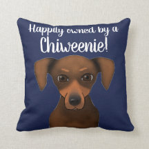 Cute Gelukkig Eigenaar Chiweenie | Chihuahua Dachs