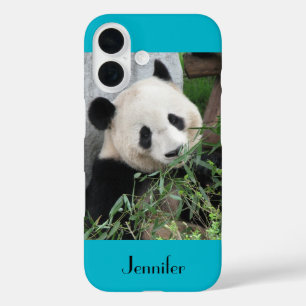 Cute Giant Panda Blue Background met Name iPhone 16 Hoesje