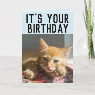 CUTE GINGER CAT KITTEN BIRTHDAAGKAARTEN KAART