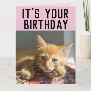 CUTE GINGER CAT KITTEN BIRTHDAAGKAARTEN KAART