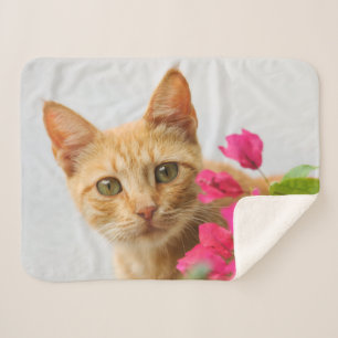 Cute Ginger Cat Kitten die ogen bekijken Foto Sherpa Deken
